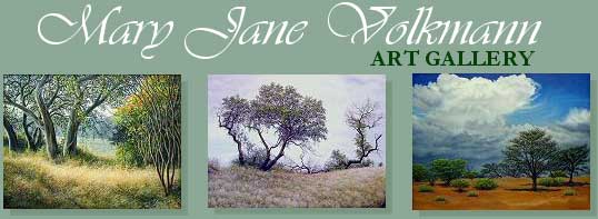 Mary Jane Volkmann Fine Arts